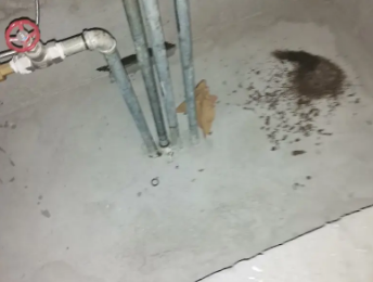 和硕卫生间测漏水价格明细