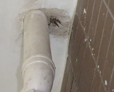 和硕漏水检测哪家好